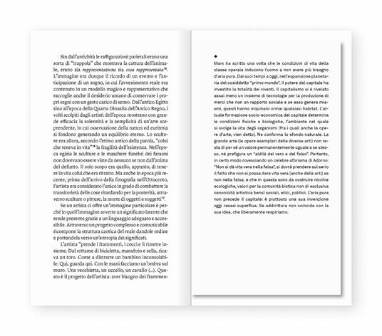 La sintesi spontanea. Venti domande semplici sull'arte contemporanea - Giovanni Ferrario - 3