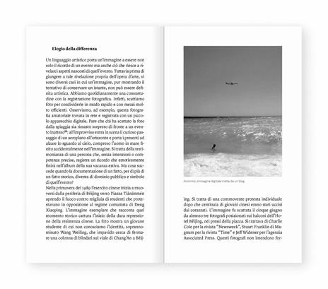 La sintesi spontanea. Venti domande semplici sull'arte contemporanea - Giovanni Ferrario - 4