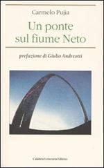 Un ponte sul fiume Neto