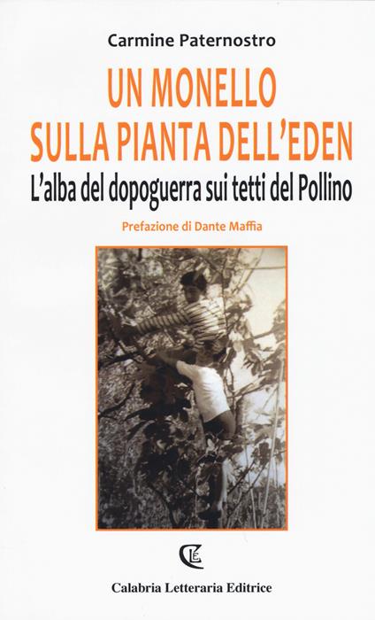 Un monello sulla pianta dell'eden. L'alba del dopoguerra sui tetti del Pollino - Carmine Paternostro - copertina