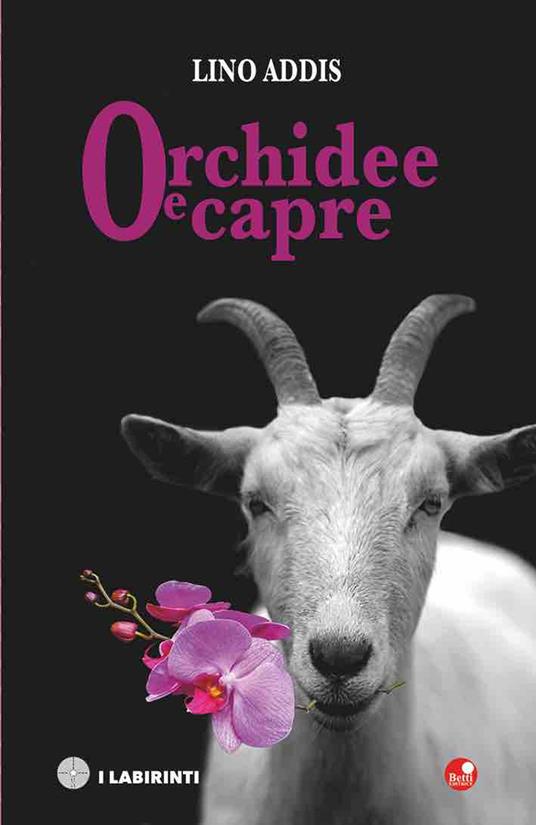 Orchidee e capre - Lino Addis - copertina