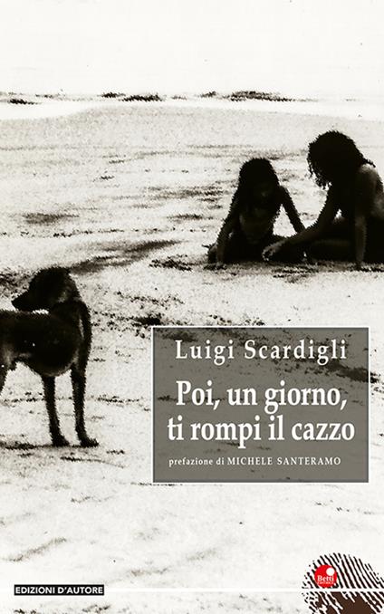 Poi, un giorno, ti rompi il cazzo - Luigi Scardigli - copertina