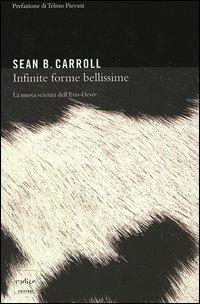 Libreria Scattisparsi Ravenna