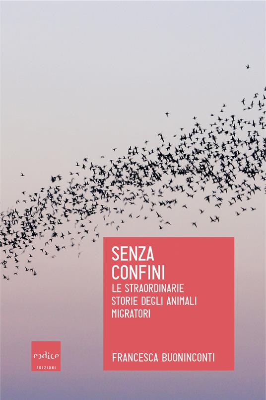 Senza confini. Le straordinarie storie degli animali migratori - Francesca Buoninconti - ebook
