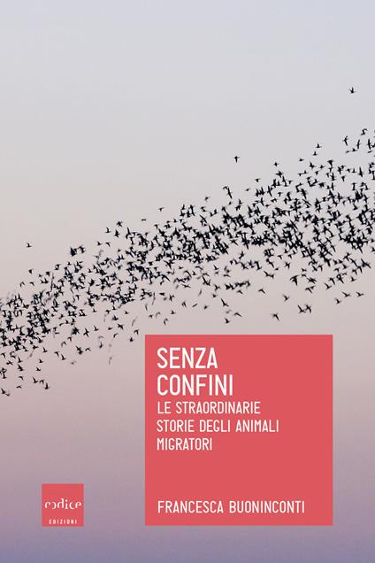 Senza confini. Le straordinarie storie degli animali migratori - Francesca Buoninconti - ebook