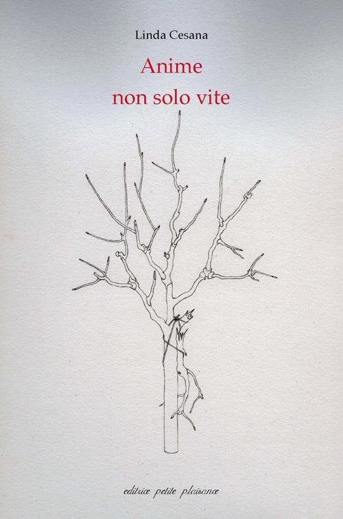Anime, non solo vite - Linda Cesana - copertina