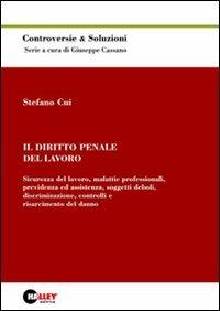 Il diritto penale del lavoro. Sicurezza del lavoro, malattie professionali, previdenza ed assistenza, soggetti deboli, discriminazione... - Stefano Cui - copertina