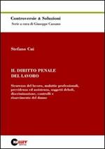 Il diritto penale del lavoro. Sicurezza del lavoro, malattie professionali, previdenza ed assistenza, soggetti deboli, discriminazione...