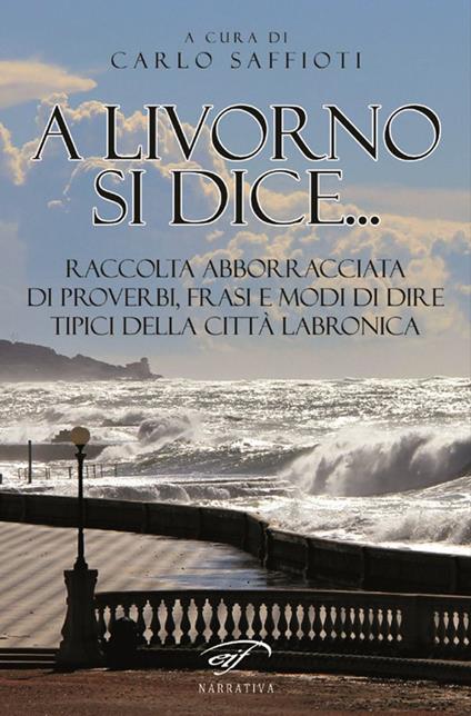 A Livorno di dice... Raccolta abborracciata di proverbi, frasi e modi di dire, tipici della città labronica - copertina