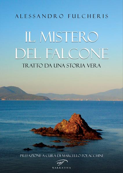 Il mistero del falcone - Alessandro Fulcheris - copertina