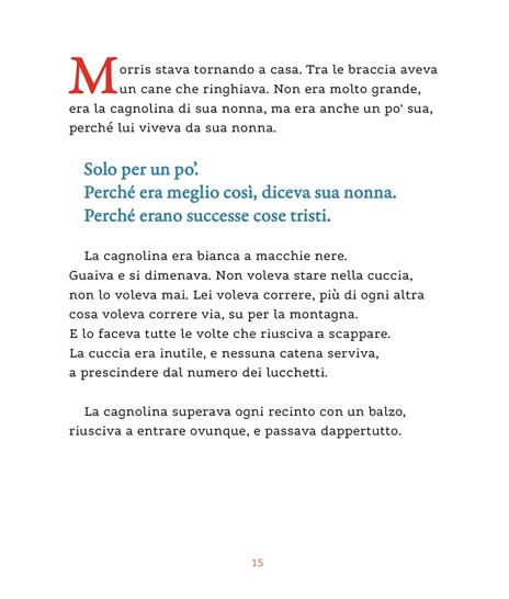 Morris. Ediz. a colori - Bart Moeyaert - 3
