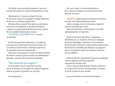 L'estate delle stelle cadenti - Cvetka Bevc - 4