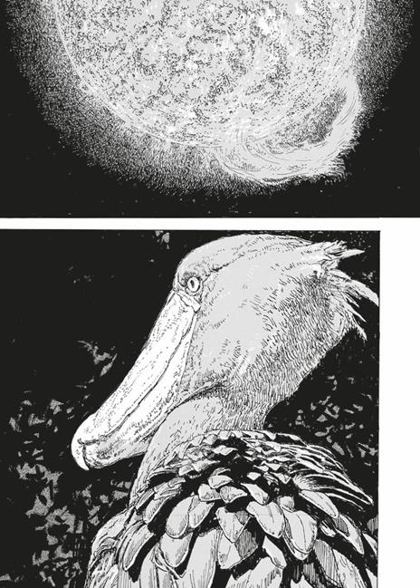 Designs. Vol. 3 - Daisuke Igarashi - 5