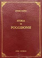 Storia di Poggibonsi. Notizie diverse cronologicamente disposte per servire alla Storia di Poggibonsi. (rist. anast. Siena, 1850)
