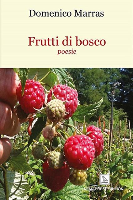 Frutti di bosco - Domenico Marras - copertina