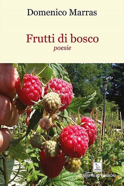 Frutti di bosco - Domenico Marras - copertina