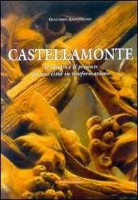 Libro Castellamonte. Il passato e il presente di una città in trasformazione Giacomo Antoniono