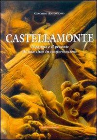 Castellamonte. Il passato e il presente di una città in trasformazione - Giacomo Antoniono - copertina