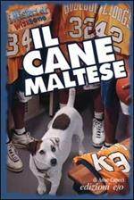 Il cane maltese