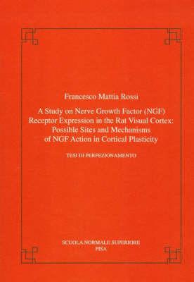 A study on nerve groth factor (NGF). Receptor expression in the rat visual cortex: possible sites and mechanism of NGF action in cortical plasticity - Francesco M. Rossi - copertina