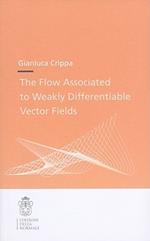 The flow associated to weakly differentiable vector fields