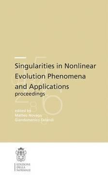 Singularities in nonlinear. Evolution phenomena and applications, proceedings - copertina