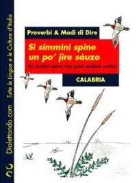 Proverbi & modi di dire. Calabria. Si simmini spine un po' jire sàuzo-Se semini spine non puoi andare scalzo - Autori vari - ebook