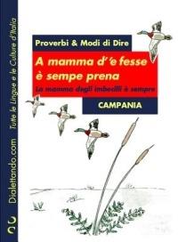 Proverbi & modi di dire. Campania. A mamma d''e fesse è sempre prena-La mamma degli imbecilli è sempre incinta - Autori vari - ebook