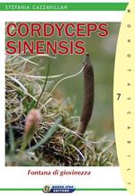 Cordyceps sinensis. Fontana di giovinezza
