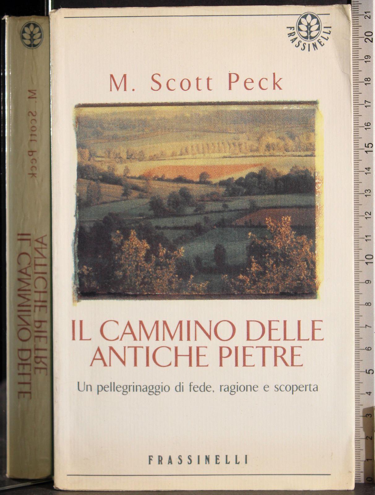 Il cammino delle antiche pietre. Un pellegrinaggio di fede, ragione e scoperta