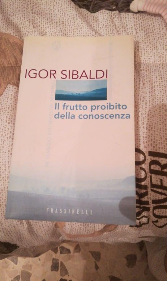 Librisaggi