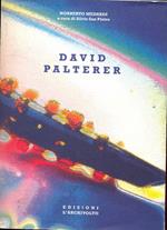David Palterer. Ediz. italiana e inglese
