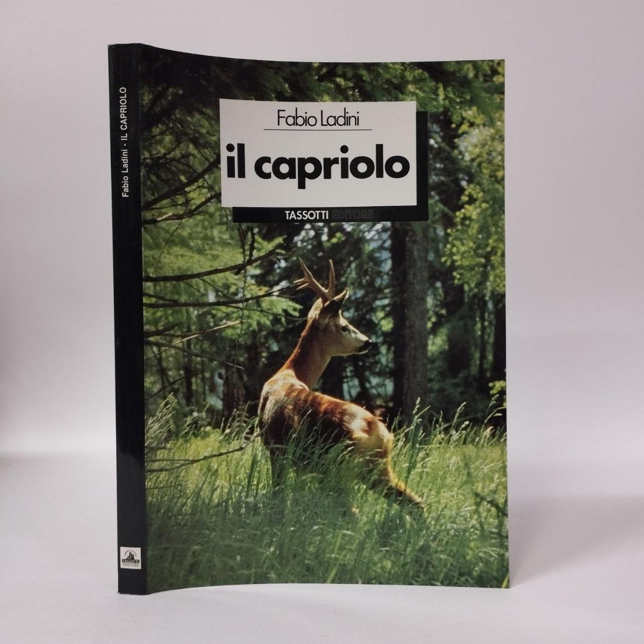 Equilibri Libreria