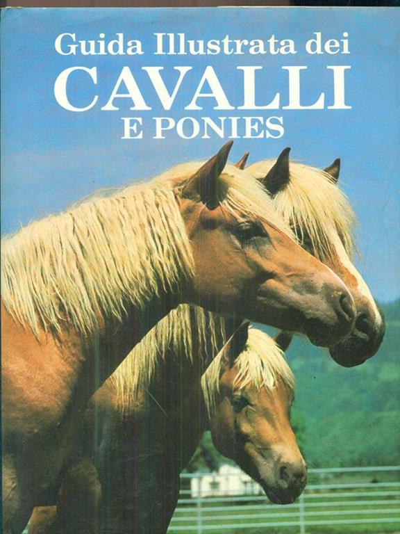 Libreria Postumia