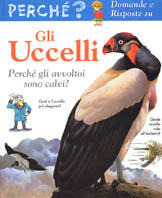 Libreria Postumia