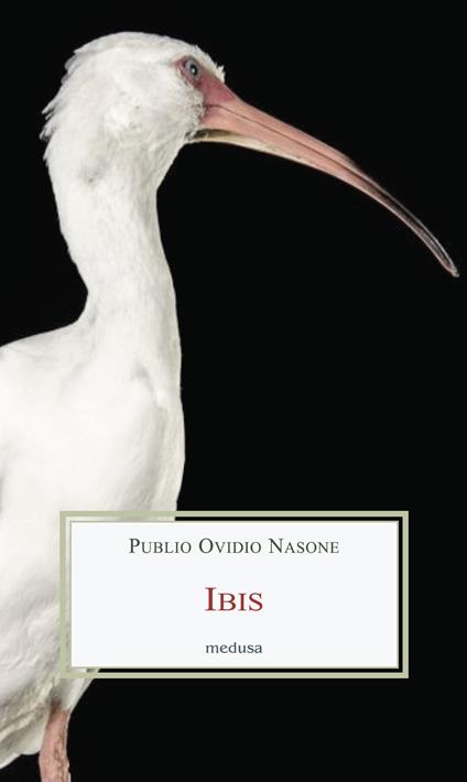 Ibis - P. Nasone Ovidio - copertina