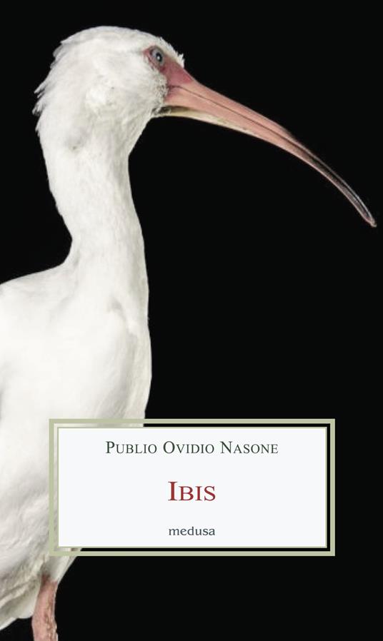 Ibis - P. Nasone Ovidio - copertina