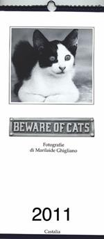 Beware of cats 2011
