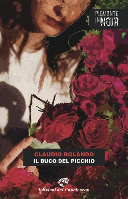 Il buco del picchio - Claudio Rolando - copertina