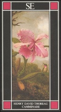 Libreria Internazionale Romagnosi snc