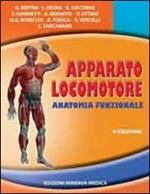 Apparato locomotore. Anatomia funzionale