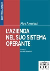 L' azienda nel suo sistema operante - Aldo Amaduzzi - copertina