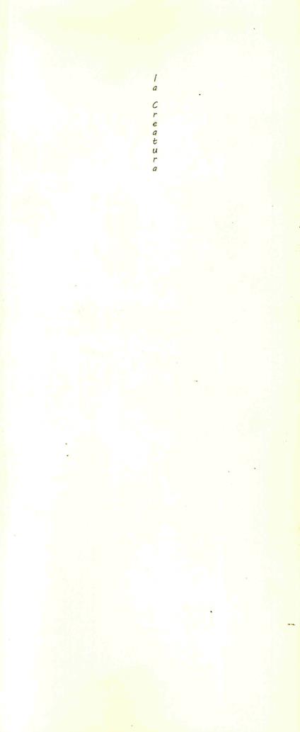 La creatura - Jovica Momcilovic - copertina