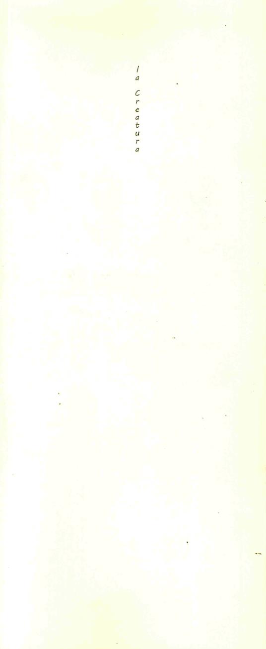 La creatura - Jovica Momcilovic - copertina