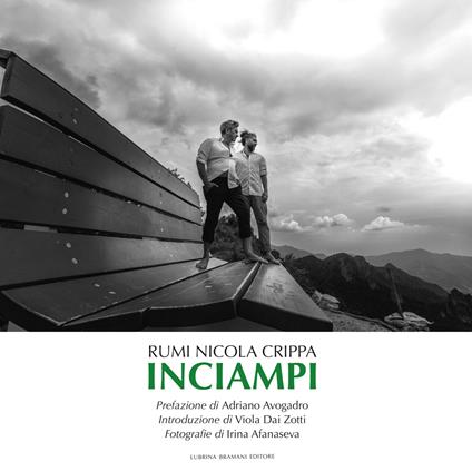 Inciampi - Rumi Nicola Crippa - copertina