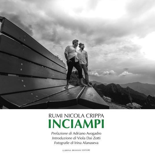 Inciampi - Rumi Nicola Crippa - copertina