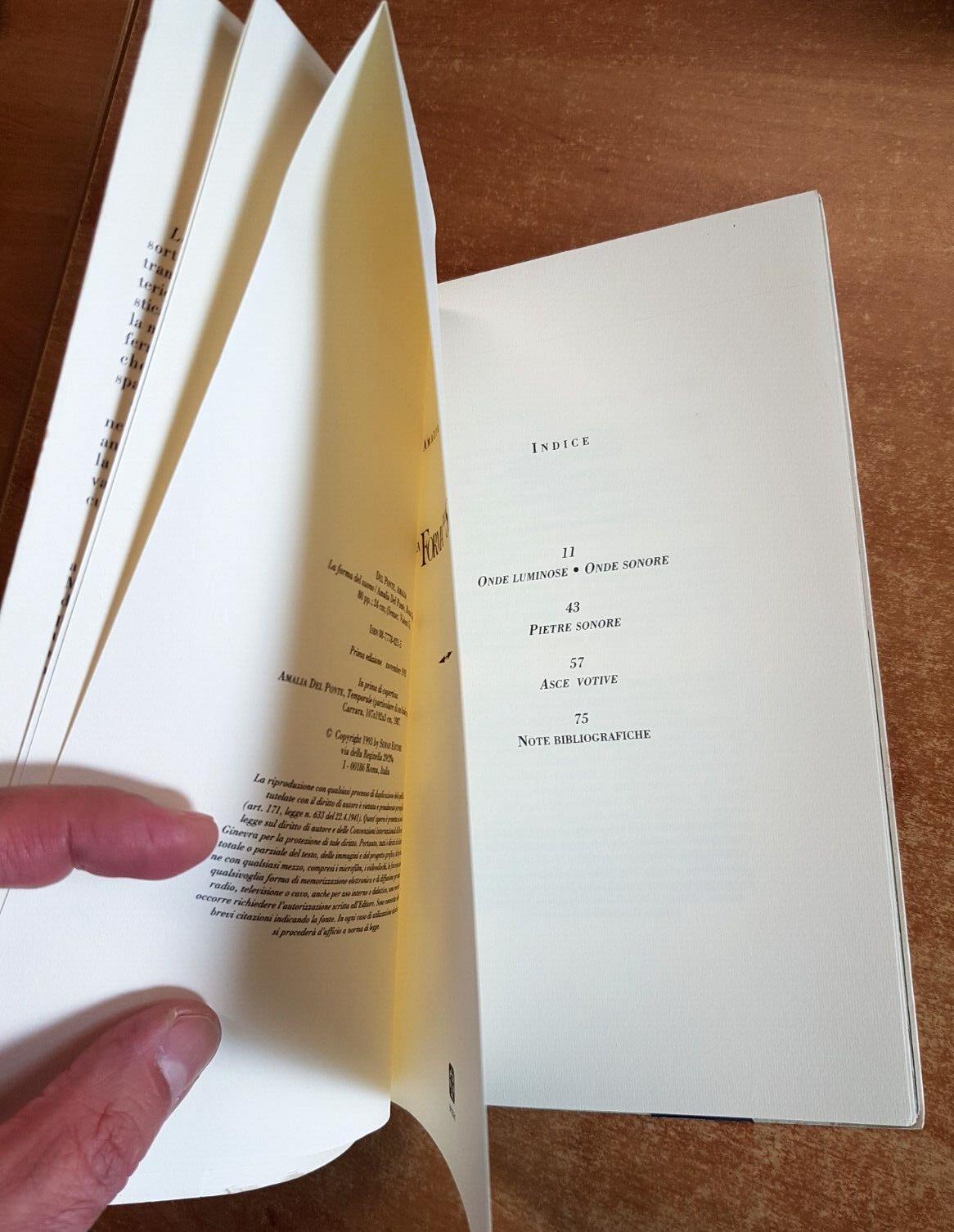 La forma del suono-The shape of sound