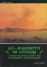 Gli acquedotti di Cotugno. Medici pugliesi a Napoli tra illuminismo e restaurazione