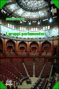 I gruppi parlamentari - Adriana Ciancio - copertina