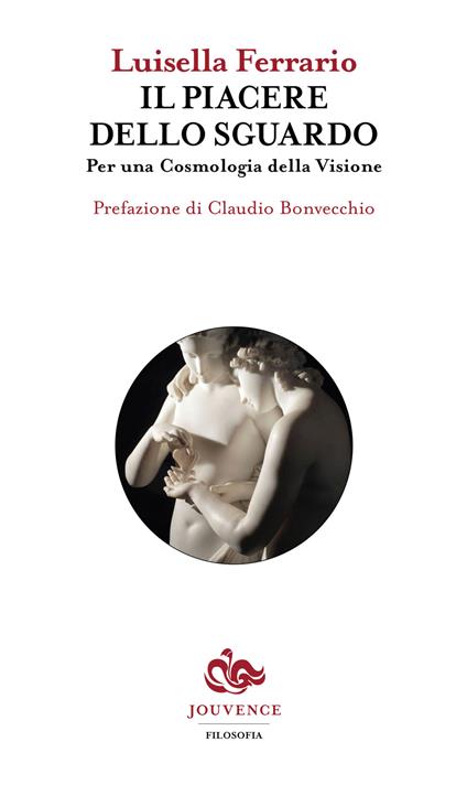 Il piacere dello sguardo. Per una cosmologia della visione - Luisella Ferrario - copertina